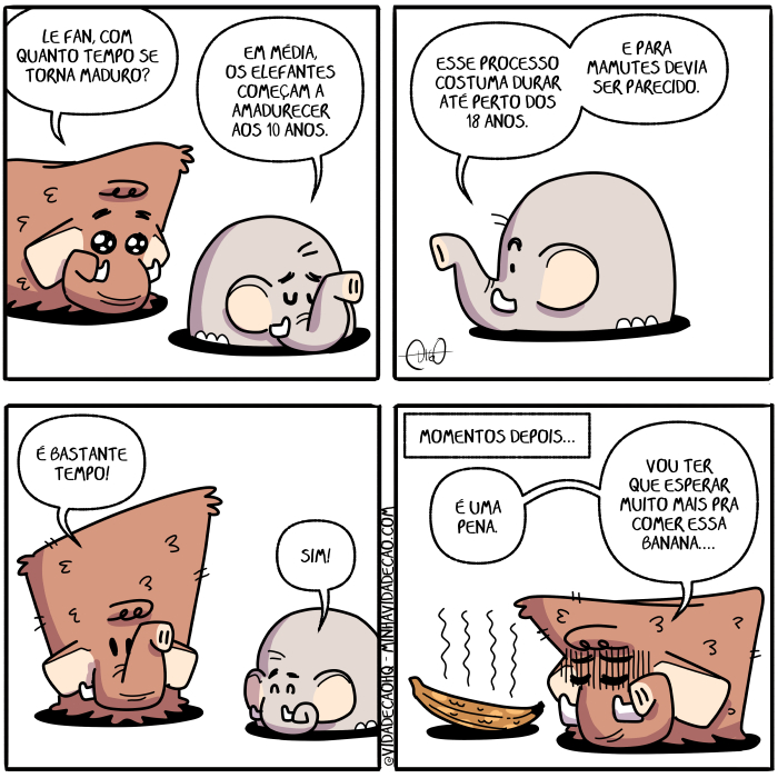 Mamu & Le Fan – Amadurecimento | Mamu, o mamute, e Le Fan, o elefante, conversam.
Mamu: Le Fan, com quanto tempo se torna maduro?
Le Fan: Em média, os elefantes começam a amadurecer aos 10 anos.

Le Fan: Esse processo costuma durar até perto dos 18 anos.

Le Fan: E para mamutes devia ser parecido.
Mamu: É bastante tempo!
Le Fan: Sim!

"Horas depois"
Mamu está ao lado de uma banana preta e fedendo.
Mamu: Que pena. Vou ter que esperar mais um pouco pra comer. ( 10, 18, a, amadurece, amadurecemos, amadurecendo, amadurecer, amadurecerá, amadureceram, amadurecerão, amadurecerei, amadurecerem, amadureceremos, amadureceria, amadureceriam, amadurecermos, amadurecesse, amadurecessem, amadureceu, amadureci, amadurecia, amadureciam, amadurecida, amadurecidas, amadurecido, amadurecidos, amadureço, anos, ao, aos, até, banana, bastante, com, come, começam, comemos, comendo, comer, comerá, comeram, comerão, comerei, comerem, comeremos, comeria, comeriam, comermos, comesse, comessem, comeu, comi, comia, comiam, comida, comidas, comido, comidos, como, conversam, costuma, costumada, costumadas, costumado, costumados, costumamos, costumando, costumar, costumará, costumaram, costumarão, costumarei, costumarem, costumaremos, costumaria, costumariam, costumarmos, costumasse, costumassem, costumava, costumavam, costumei, costumo, costumou, dê, depois, deve, devemos, devendo, dever, deverá, deveram, deverão, deverei, deverem, deveremos, deveria, deveriam, devermos, devesse, devessem, deveu, devi, devia, deviam, devida, devidas, devido, devidos, devo, dos, dura, durada, duradas, durado, durados, duramos, durando, durar, durará, duraram, durarão, durarei, durarem, duraremos, duraria, durariam, durarmos, durasse, durassem, durava, duravam, durei, duro, durou, é, elefante, elefantes, em, era, eram, espera, esperada, esperadas, esperado, esperados, esperamos, esperando, esperar, esperará, esperaram, esperarão, esperarei, esperarem, esperaremos, esperaria, esperariam, esperarmos, esperasse, esperassem, esperava, esperavam, esperei, espero, esperou, esse, está, estada, estadas, estado, estados, estamos, estando, estar, estará, estarão, estarei, estarem, estaremos, estaria, estariam, estarmos, estava, estavam, esteve, estive, estiver, estiveram, estiverem, estivesse, estivessem, estou, fan, fede, fedemos, fedendo, feder, federá, federam, federão, federei, federem, federemos, federia, federiam, federmos, fedesse, fedessem, fedeu, fedi, fedia, fediam, fedida, fedidas, fedido, fedidos, fedo, foi, for, foram, forem, fosse, fossem, fui, horas, ia, iam, ida, idas, ido, idos, indo, ir, irá, irão, irei, irem, iremos, iria, iriam, irmos, lado, lê, madura, madurada, maduradas, madurado, madurados, maduramos, madurando, madurar, madurará, maduraram, madurarão, madurarei, madurarem, maduraremos, maduraria, madurariam, madurarmos, madurasse, madurassem, madurava, maduravam, madurei, maduro, madurou, mais, Mamu, mamute, mamutes, média, o, os, para, parece, parecemos, parecendo, parecer, parecerá, pareceram, parecerão, parecerei, parecerem, pareceremos, pareceria, pareceriam, parecermos, parecesse, parecessem, pareceu, pareci, parecia, pareciam, parecida, parecidas, parecido, parecidos, pareço, pena, penada, penadas, penado, penados, penamos, penando, penar, penará, penaram, penarão, penarei, penarem, penaremos, penaria, penariam, penarmos, penasse, penassem, penava, penavam, penei, peno, penou, perto, pouco, pra, preta, processa, processada, processadas, processado, processados, processamos, processando, processar, processará, processaram, processarão, processarei, processarem, processaremos, processaria, processariam, processarmos, processasse, processassem, processava, processavam, processei, processo, processou, quanto, que, sê, sendo, ser, será, serão, serei, serem, seremos, seria, seriam, sermos, sida, sidas, sido, sidos, sim, somos, sou, tem, temos, tempo, tendo, tenho, ter, terá, terão, terei, terem, teremos, teria, teriam, termos, teve, tida, tidas, tido, tidos, tinha, tinham, Tirinha, Tirinhas, tive, tiver, tiveram, tiverem, tivesse, tivessem, torna, tornada, tornadas, tornado, tornados, tornamos, tornando, tornar, tornará, tornaram, tornarão, tornarei, tornarem, tornaremos, tornaria, tornariam, tornarmos, tornasse, tornassem, tornava, tornavam, tornei, torno, tornou, um, uma, vai, vamos, vou)